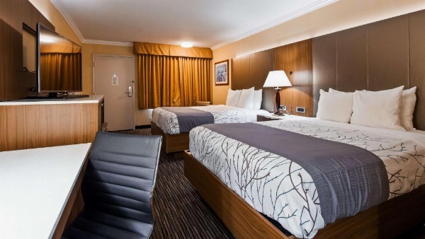 Best Western Airpark Hotel-Los Angeles LAX Airport image 12