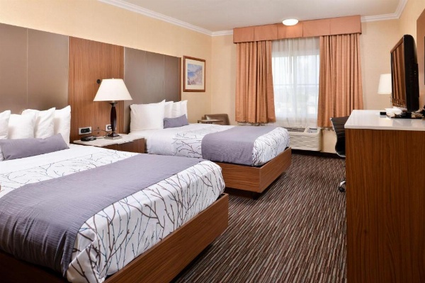 Best Western Airpark Hotel-Los Angeles LAX Airport image 15