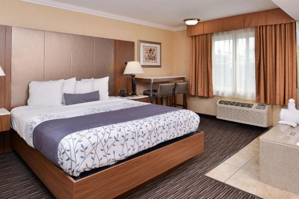 Best Western Airpark Hotel-Los Angeles LAX Airport image 20