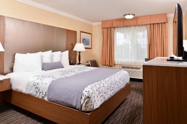 Best Western Airpark Hotel-Los Angeles LAX Airport image 28