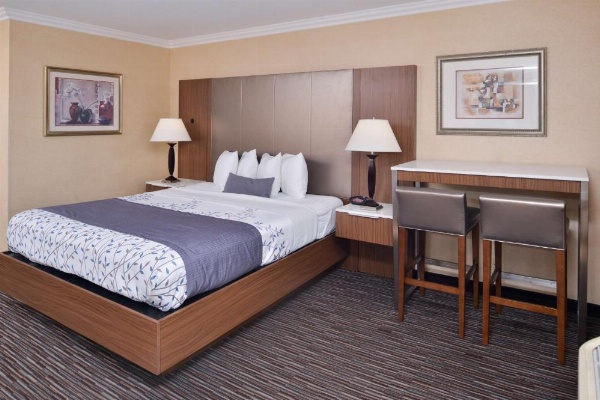 Best Western Airpark Hotel-Los Angeles LAX Airport image 30